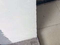 -巴奴毛肚火锅(大剧院店)