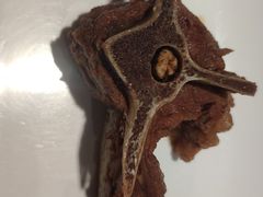 -望蝎门羊蝎子火锅(祭城店)