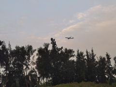 -宝安西湾红树林湿地公园