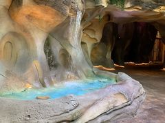 -杭州开元森泊度假乐园