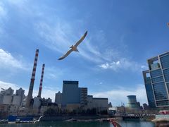 -汉巴味德(港湾奥莱店)