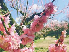 -名古屋城