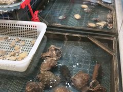 -天盛海鲜烧烤大排档·本地小海鲜·牟平腿穗子(幸福店)