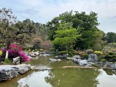 -东莞植物园
