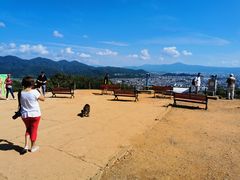 -岚山猴子公园