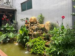 -一煲鸽
