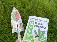 -乌村