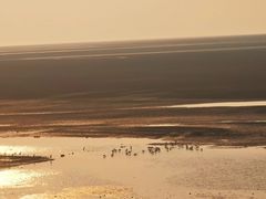 -鄱阳湖国家湿地公园