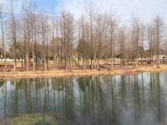 -梁鸿国家湿地公园