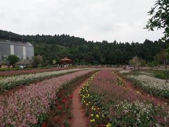 -中国香山·寿香谷