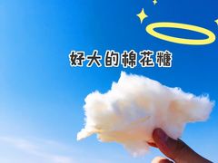 -碧海金沙