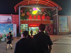 -荷兰花海