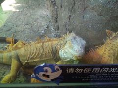 -福州罗源湾海洋世界旅游区