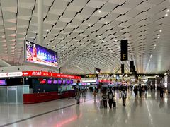 -郑州新郑国际机场-T2航站楼
