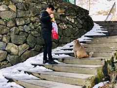 -藏龙百瀑风景区