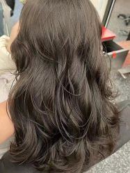 -IP SALON