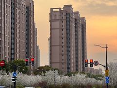 -新江湾城公园