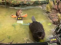 -陕西自然博物馆