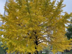 -苏州河梦清园环保主题公园