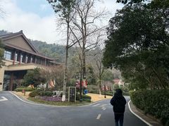 -杭州花家山庄