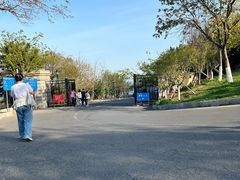 -棒棰岛宾馆景区