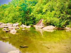-海南热带雨林国家公园吊罗山景区