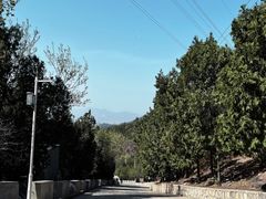 -北京十三陵国家森林公园蟒山景区