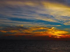 -宝安西湾红树林湿地公园