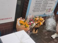 -梅飞酒家(桑园路店)