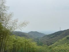 -东明山森林公园