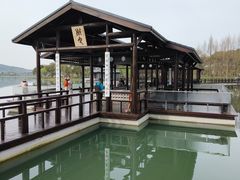 -渤公岛生态公园