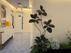 -海涛医疗美容·面部抗衰·注射美鼻