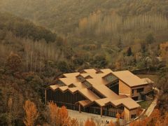 -千年银杏谷文化旅游区