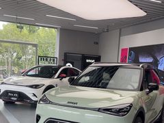 -上海浦东smart汽车全功能店(金桥店)