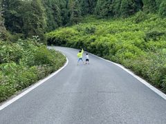 -武陵山森林公园