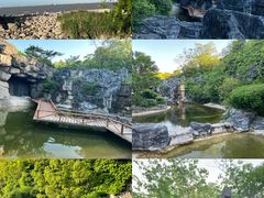 -上海吴淞炮台湾国家湿地公园