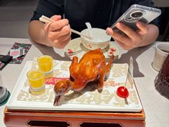 -大鸽饭(岗顶店)