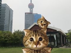 -浦江二号·独栋江景餐厅(滨江大道店)
