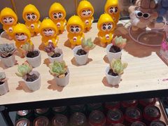 -山四砂锅(太原钟楼街店)