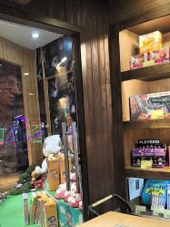 -卡通尼·Safari非洲探索乐园·生日会(金桥国际商业广场店)