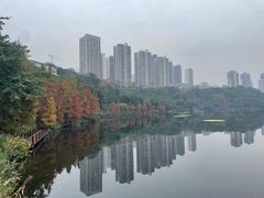 -重庆彩云湖湿地公园