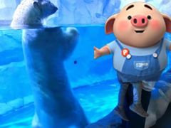 -芜湖新华联大白鲸海洋公园