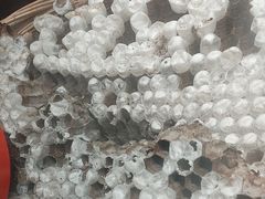 -塘屋烧烤·云南火塘烧烤品牌(春城慧谷旗舰店)