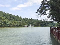 -广州白江湖森林公园
