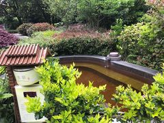 景点-黄山温泉国际旅游度假区