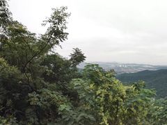 -惠山国家森林公园