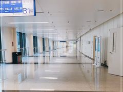 -首都医科大学附属北京天坛医院
