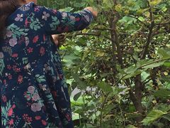 -同銮特种养殖场·龙虾垂钓