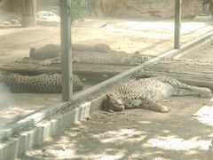 -郑州市动物园