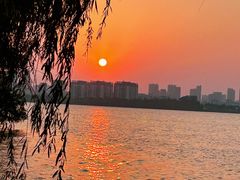 -艾溪湖湿地公园